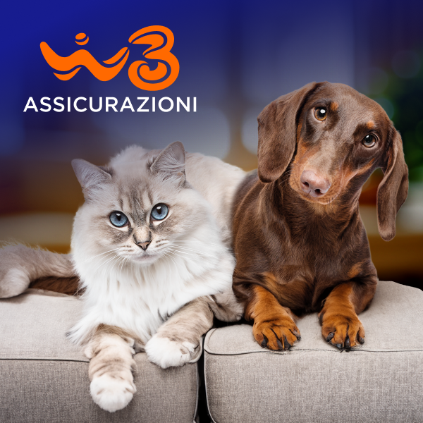 Immagine cane e gatto sul divano - Offerta Assicurazioni - WINDTRE