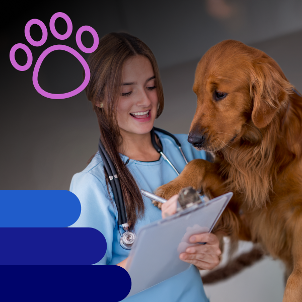 Immagine cane dal veterinario - Offerta Assicurazioni - WINDTRE